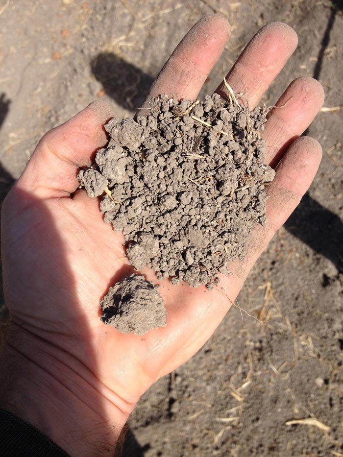 Roussanne soil